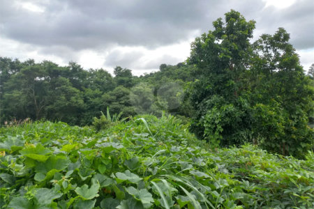 Terreno à venda em Parque dos Cafezais III, Itupeva, SP