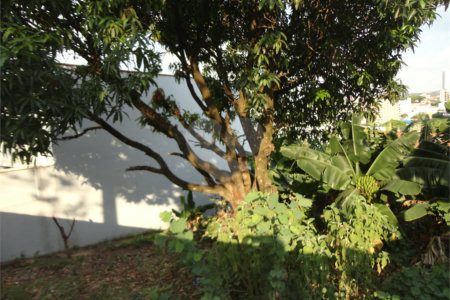 Terreno à venda em Vila São José, Valinhos, SP