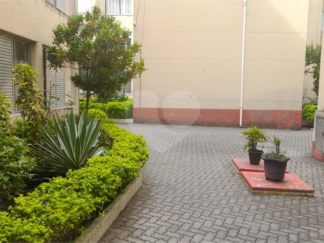 Apartamento à venda com 3 quartos em Jaçanã, São Paulo, SP