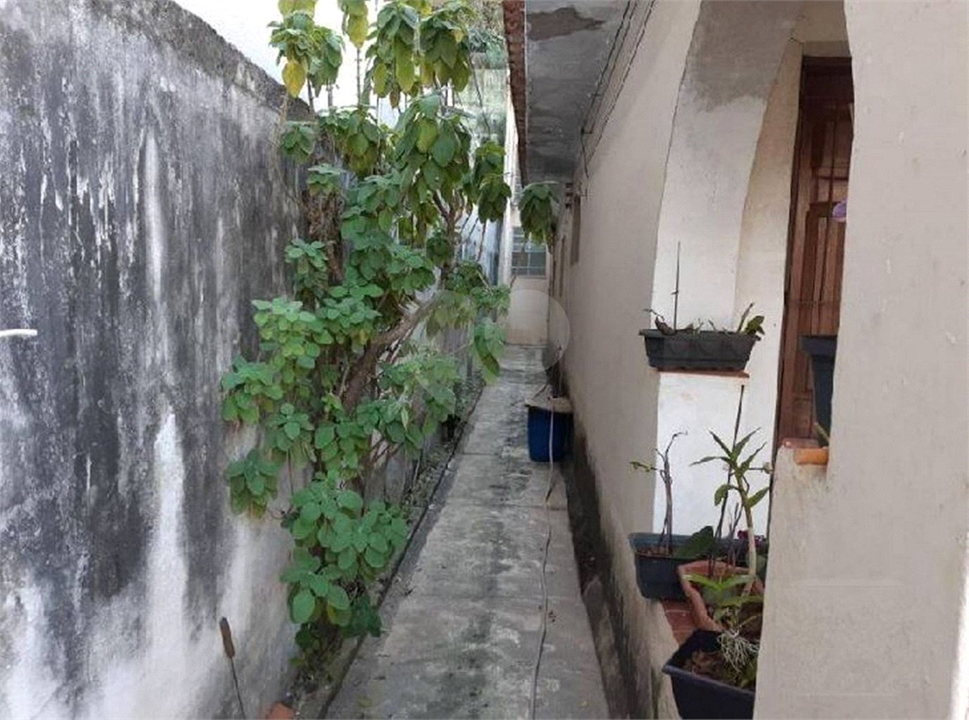 Casa à venda com 3 quartos em Vila Indiana, São Paulo, SP