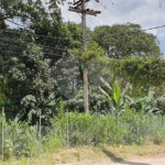 Chácara à venda com 2 quartos em Serra da Cantareira, Mairiporã, SP