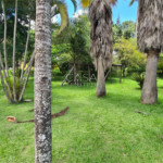 Terreno em condomínio à venda em Jardim Paulistano, Salto de Pirapora, SP