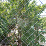 Apartamento à venda com 3 quartos, sendo 1 suíte, em Tijuca, Rio de Janeiro, RJ