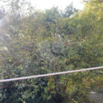 OPORTUNIDADE: Terreno à venda no Jardim Maristela com 250m2, 10 metros de frente!
