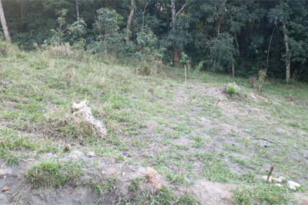 Terreno à venda em Vila Darcy Penteado (mailasqui), São Roque, SP