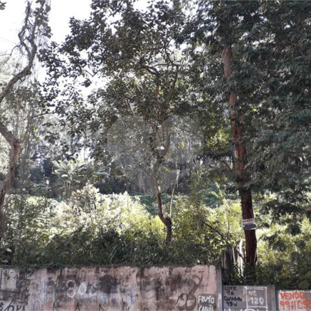 Terreno à venda em Vila Andrade, São Paulo, SP