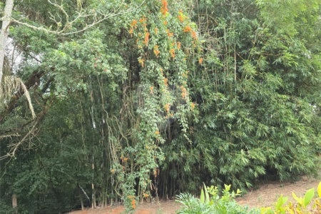 Sítio à venda com 6 quartos, sendo 5 suítes, em Área Rural de Itapetininga, Itapetininga, SP