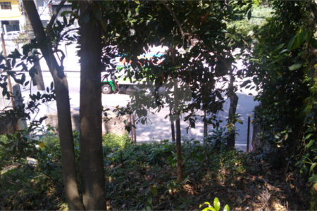 Terreno à venda em Vila Albertina, São Paulo, SP