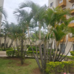 Apartamento à venda com 2 quartos em Vila Medeiros, São Paulo, SP