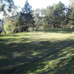 Terreno à venda em Vila Darcy Penteado (mailasqui), São Roque, SP