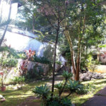 Sobrado à venda com 3 quartos em Vila Nova Cachoeirinha, São Paulo, SP
