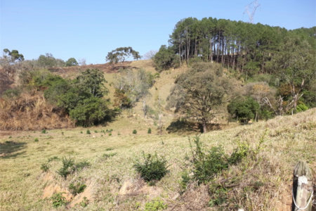 Sítio à venda com 3 quartos em Bairro do Cambará, São Roque, SP
