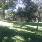 Chácara à venda com 3 quartos, sendo 2 suítes,  em Vila Darcy Penteado (mailasqui), São Roque, SP