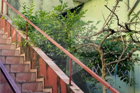 Sobrado à venda com 4 quartos em Vila Mira, São Paulo, SP