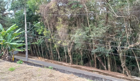 Terreno à venda em Jardim América, Bragança Paulista, SP
