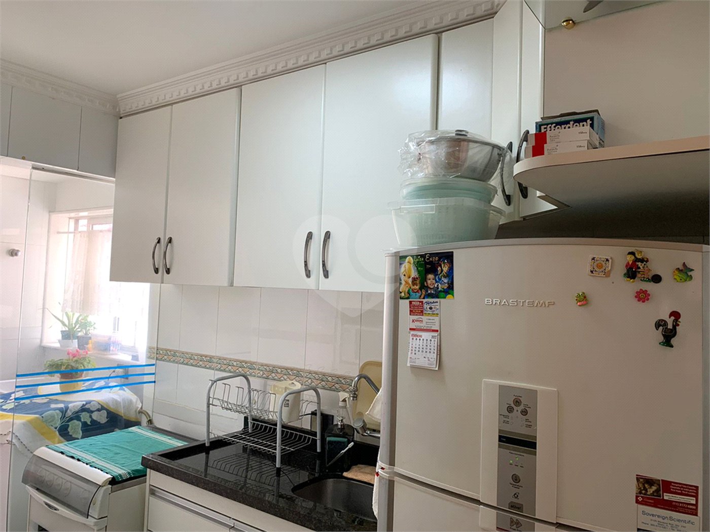 Apartamento à venda com 1 suíte em Vila Nova Cachoeirinha, São Paulo, SP