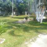 Apartamento à venda com 4 quartos, sendo 1 suíte, em Campo Grande, Rio de Janeiro, RJ