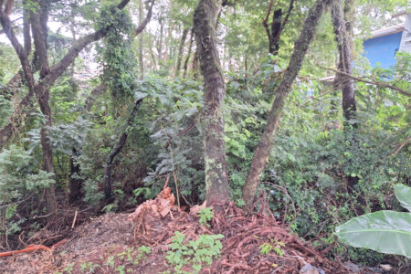 Terreno à venda em Jardim Maristela, Atibaia, SP