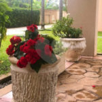 Apartamento à venda com 2 quartos em Jardim Boa Vista (zona Oeste), São Paulo, SP