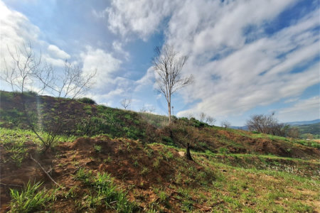 Área de Terra à venda com 1 suíte em Cocais, Itatiba, SP