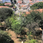 Sobrado à venda com 3 quartos, sendo 1 suíte, em Água Fria, São Paulo, SP
