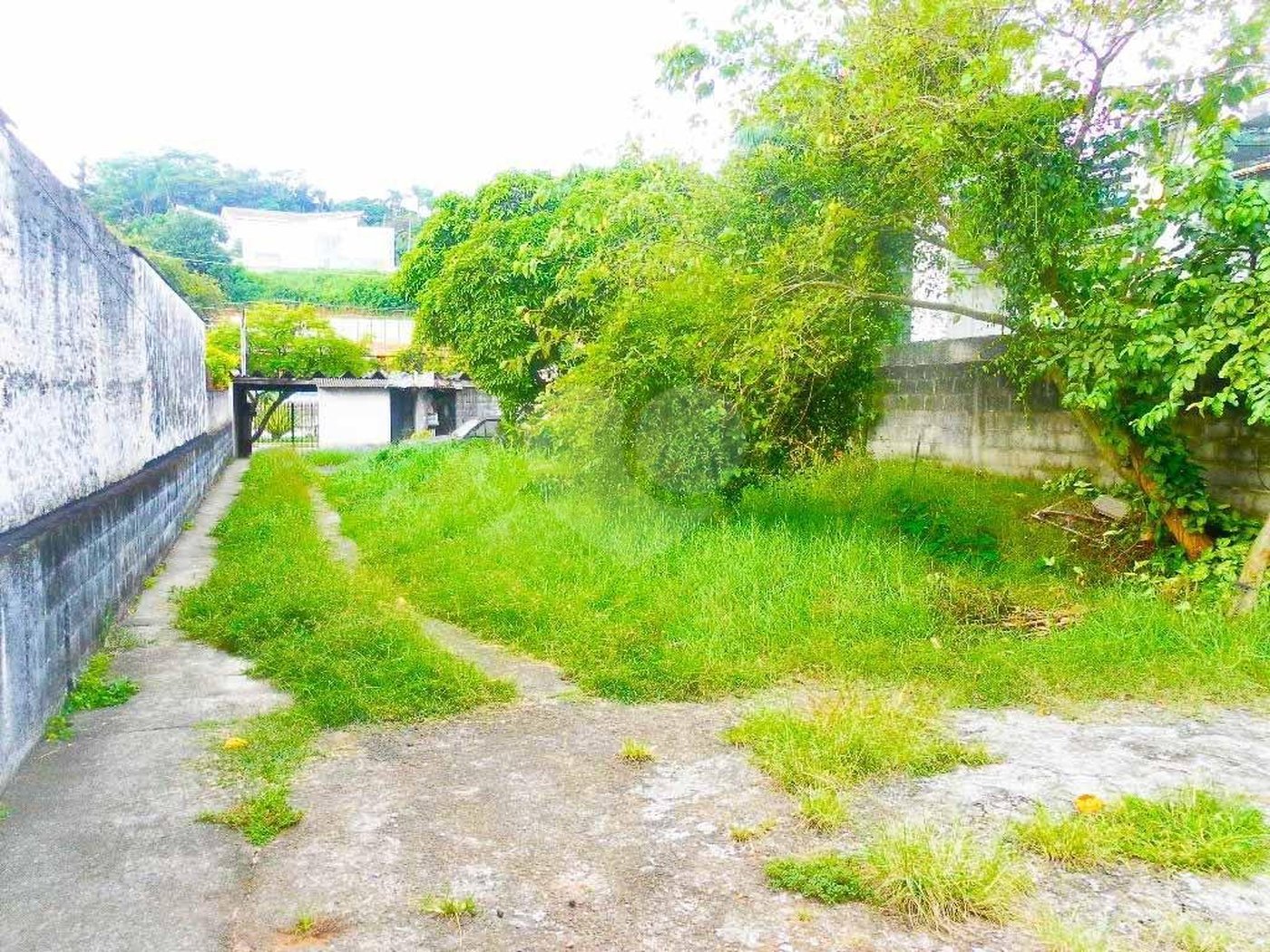 Terreno à venda ou para alugar em Jardim Petrópolis, São Paulo, SP