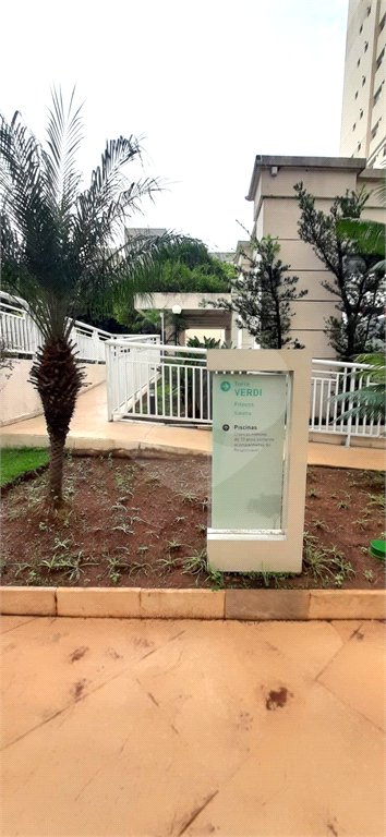 Apartamento à venda com 4 quartos, sendo 3 suítes, em Cambuci, São Paulo, SP