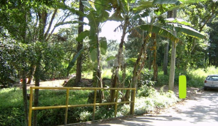Casa Térrea à venda com 3 quartos em Vila Maria Alta, São Paulo, SP