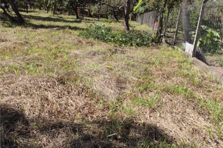 Terreno no Aracê de Santo Antonio.