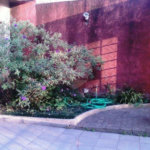Sobrado à venda com 4 quartos, sendo 2 suítes, em Jardim Virginia Bianca, São Paulo, SP