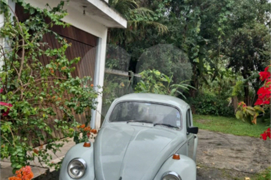 Terreno à venda ou para alugar em Horto, São Paulo, SP
