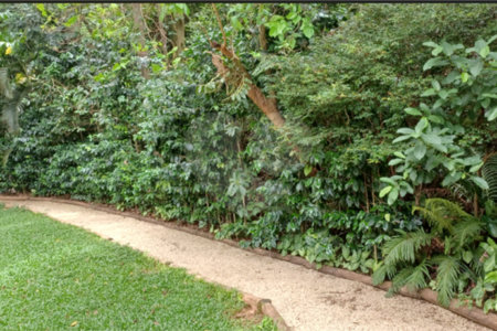 Apartamento à venda com 2 suítes em Parque do Morumbi, São Paulo, SP
