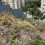 Terreno à venda em Vila Nova Socorro, Mogi das Cruzes, SP