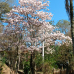 Chácara à venda com 4 quartos em Pinheirinho, Atibaia, SP