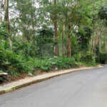 Terreno à venda em Tucuruvi, São Paulo, SP