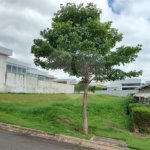 Terreno à venda no condomínio Santo Antonio II, Itu - SP