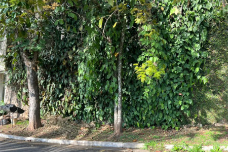 Terreno à venda no condomínio Jardim Vitória Régia, São Paulo - SP