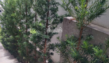 Sobrado à venda ou para alugar com 3 suítes em Jardim do Lago, Atibaia, SP