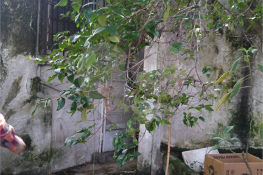 Casa Térrea à venda com 3 quartos em Vila Prudente, São Paulo, SP