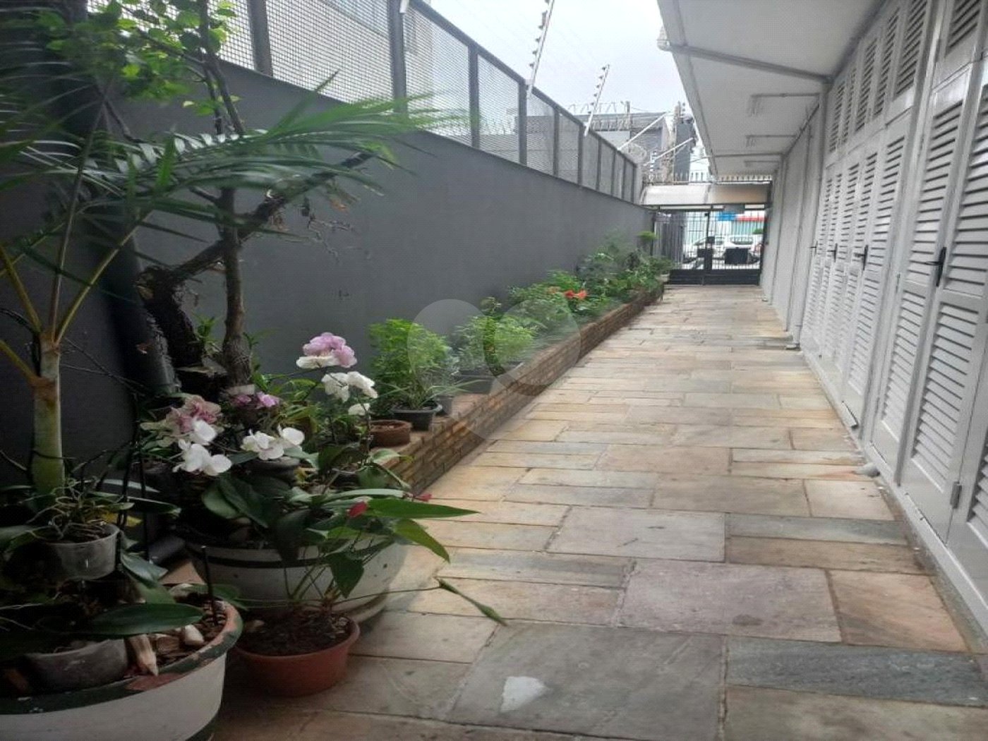 Apartamento à venda com 2 quartos em Vila Mascote, São Paulo, SP