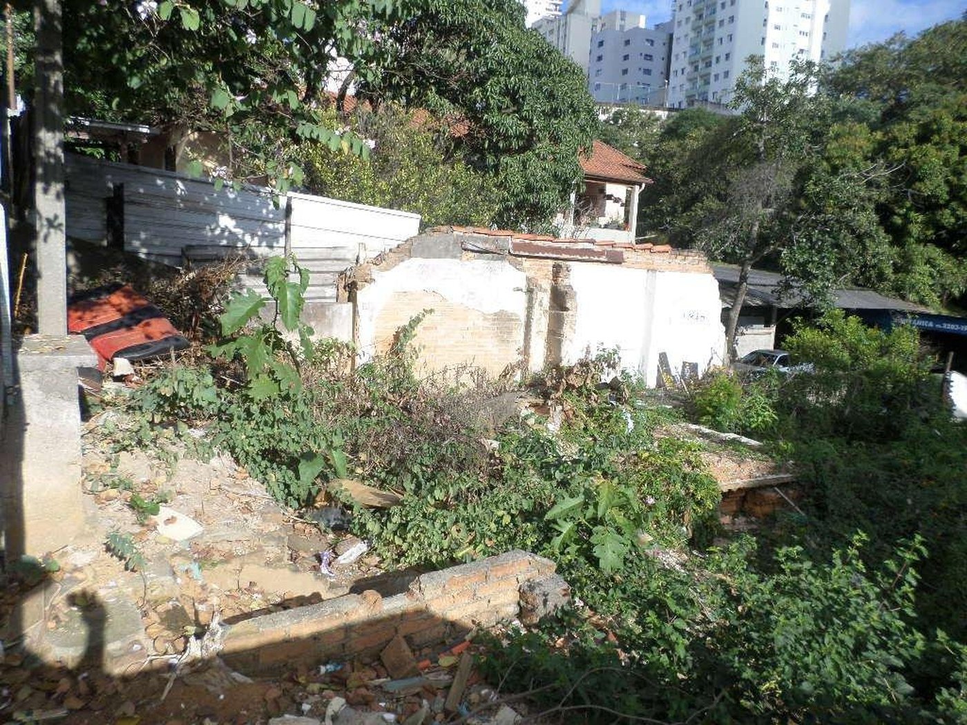 Terreno à venda ou para alugar em Água Fria, São Paulo, SP