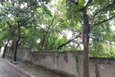 Terreno à venda em Vila Suzana, São Paulo, SP