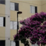 Apartamento à venda com 2 quartos em Jaraguá, São Paulo, SP