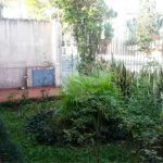 Casa com 3 Dormitórios no Campo Belo