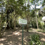 Casa de Alto Padrão à Venda e Locação - Condomínio Vila Verde