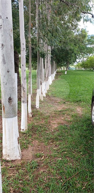 Sitio para venda.