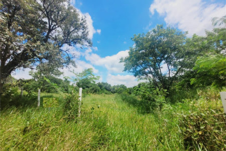 Lote à Venda – Oportunidade! 1.000 m² – Recanto Campestre Internacional de Viracopos (Gleba 4) – Indaiatuba/SP