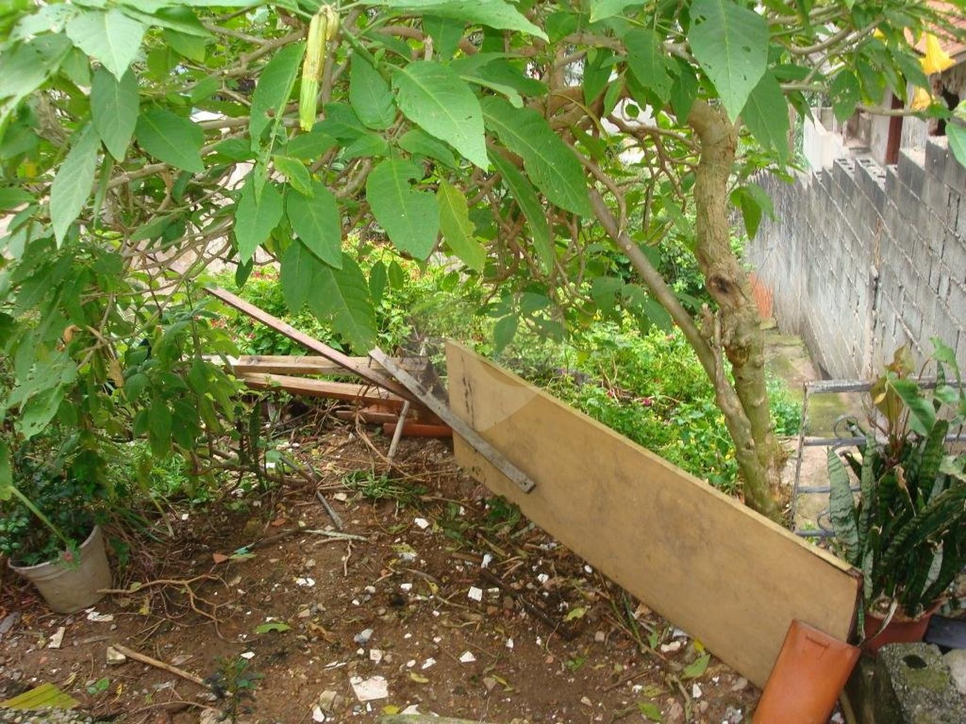 Terreno à venda em Santana, São Paulo, SP