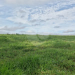 Ecoville 3 Club Residence - Lotes à Venda a partir de 360m²