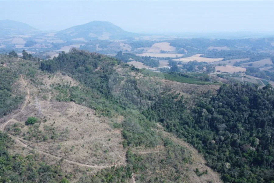 FAZENDA FORTALEZA, Caldas - MG